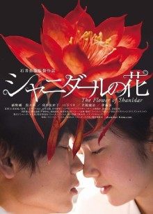 12万粉丝萝莉网红『提莫』超大尺度私拍流出[48P/13V/335M]